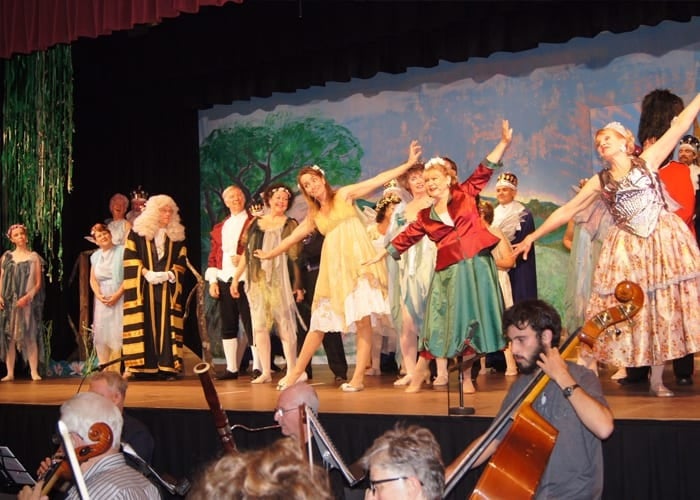 Performers in costume